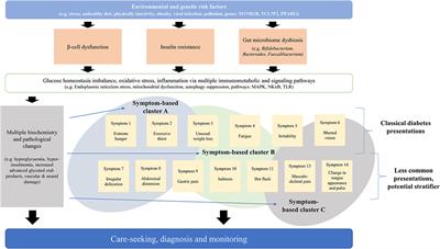 SYmptom-Based STratification of DiabEtes Mellitus by Renal Function Decline (SYSTEM): A Retrospective Cohort Study and Modeling Assessment